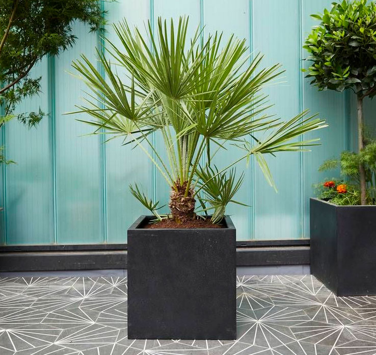 Royal Red Dahlia Bouquet - Image 2